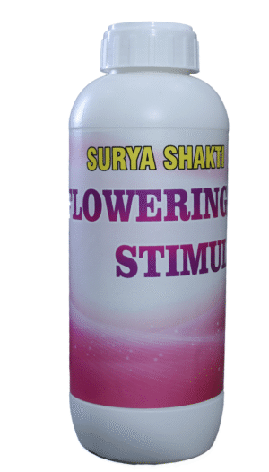 SURYA SHAKTI