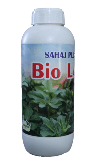 SAHAJ PLUS | LARVA RUN