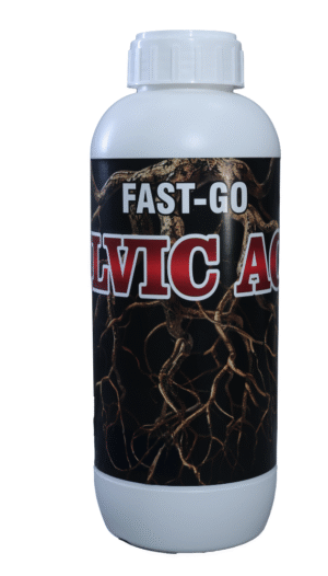 FAST GO