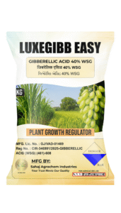 GIBBERELLIC ACID 40% WSG