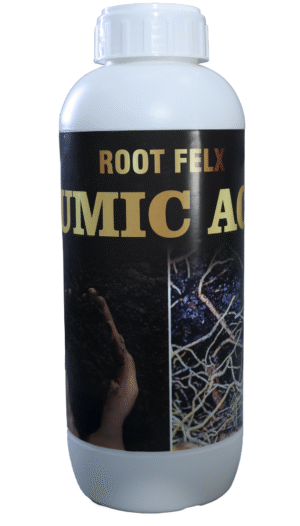 ROOT FLEX