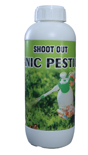 SHOOT OUT