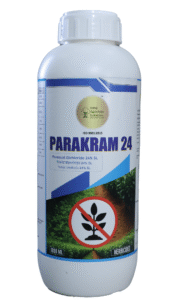 Paraquate Dichloride 24_ SL