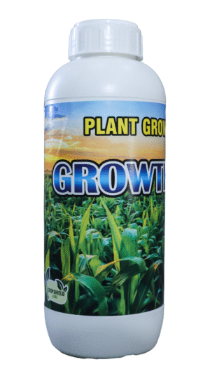 GROWTH FASTER