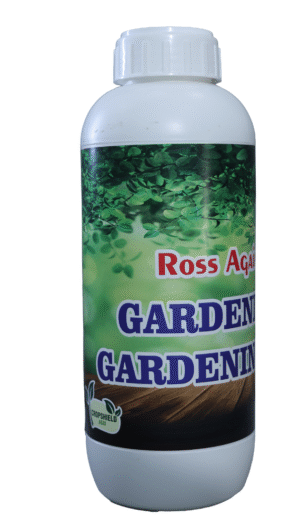 Ross Again Star Neem